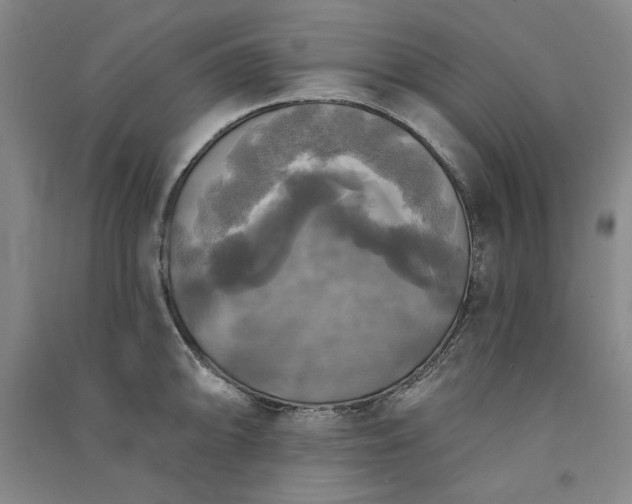 X0000091351094200708171426