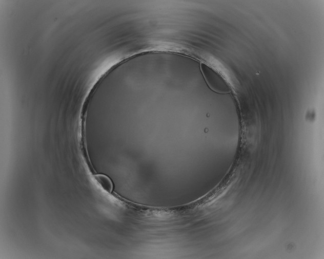 X0000091351095200708171426