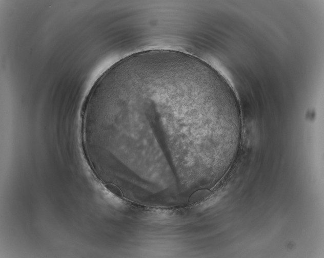 X0000091351096200708171426
