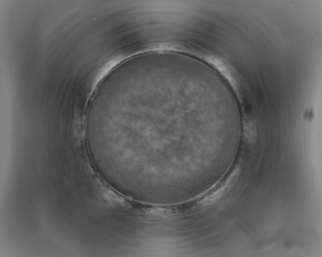X0000091351097200708171426