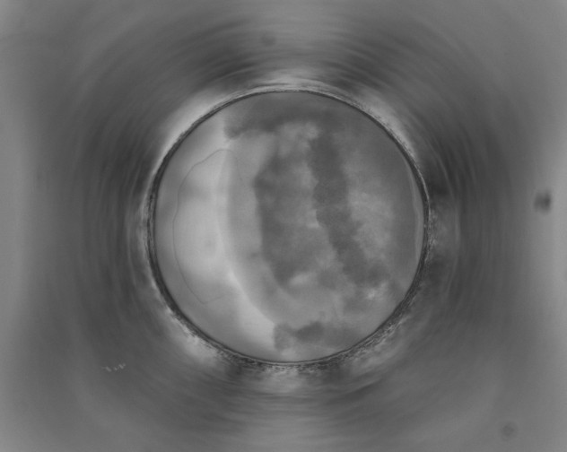 X0000091351098200708171426
