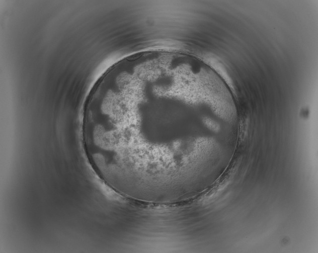 X0000091351099200708171426
