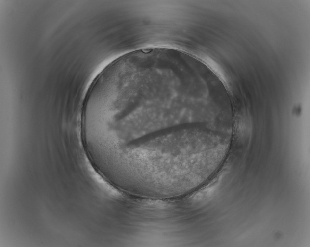 X0000091351100200708171426