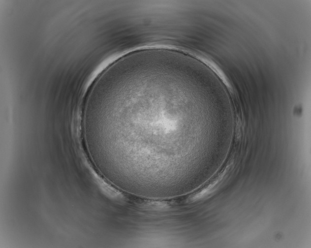 X0000091351101200708171426