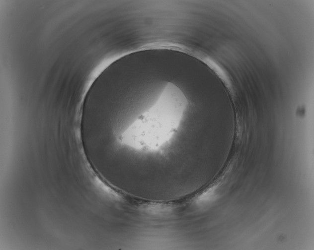 X0000091351102200708171426