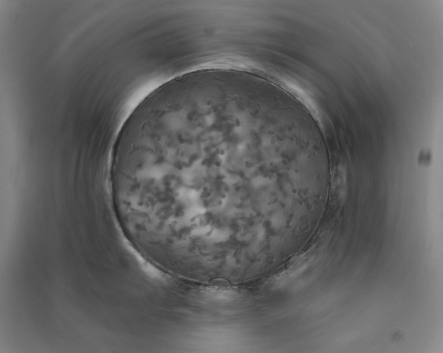 X0000091351103200708171426