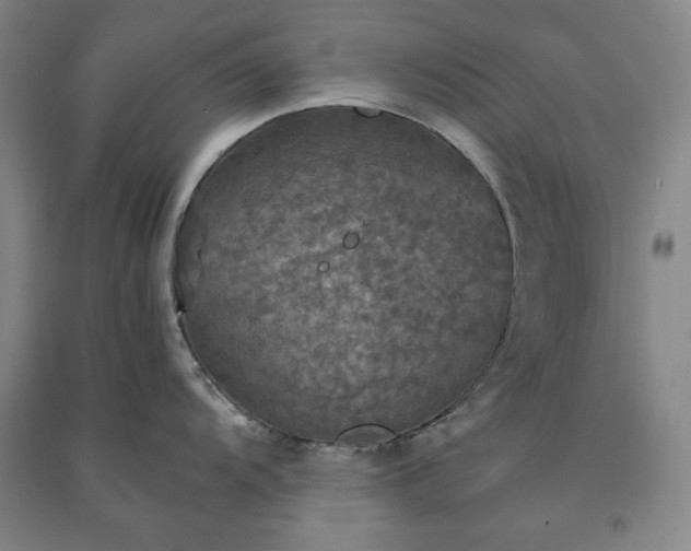 X0000091351104200708171426