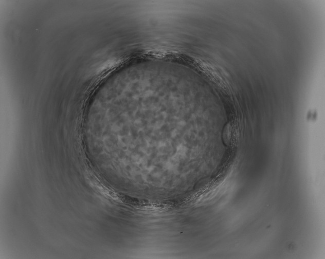 X0000091351105200708171425