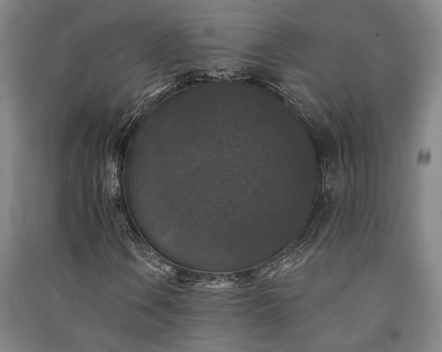 X0000091351106200708171425