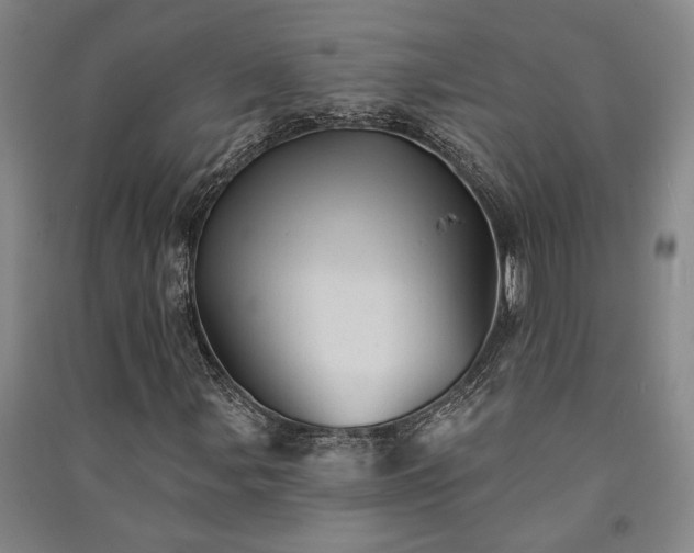 X0000091351107200708171425