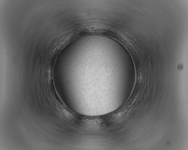 X0000091351108200708171425
