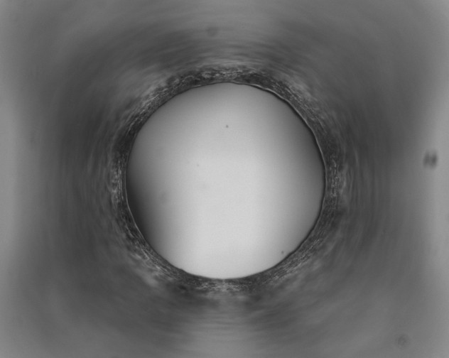 X0000091351109200708171425