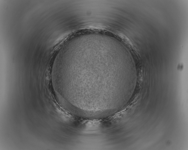 X0000091351110200708171425