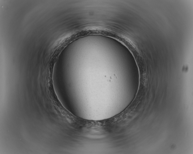 X0000091351111200708171425