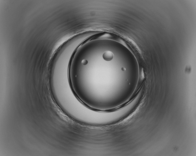 X0000091351114200708171425