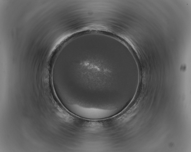 X0000091351115200708171425
