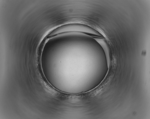 X0000091351116200708171425