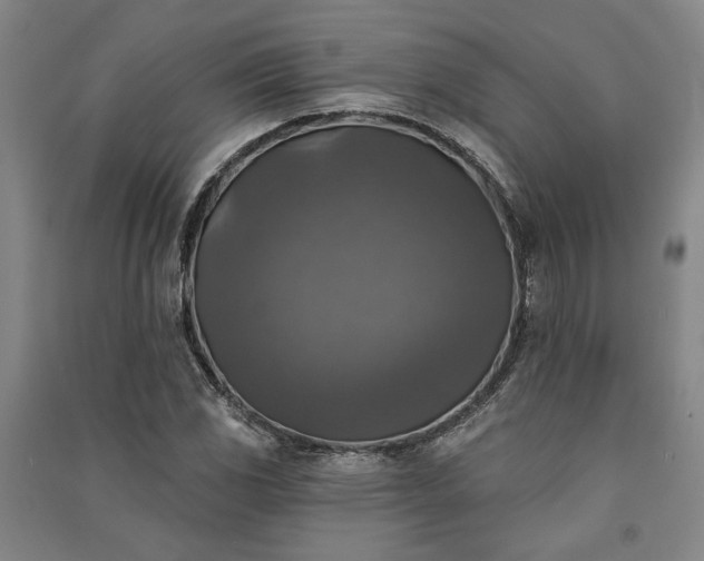 X0000091351117200708171425