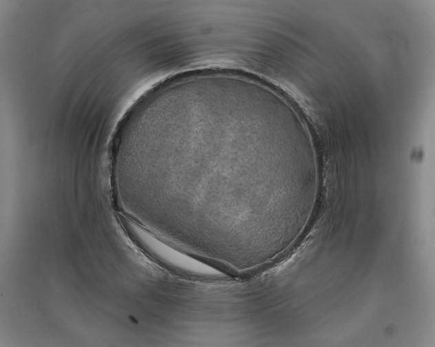 X0000091351118200708171425
