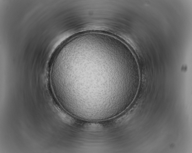 X0000091351119200708171426