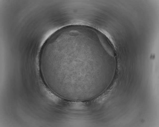 X0000091351120200708171426