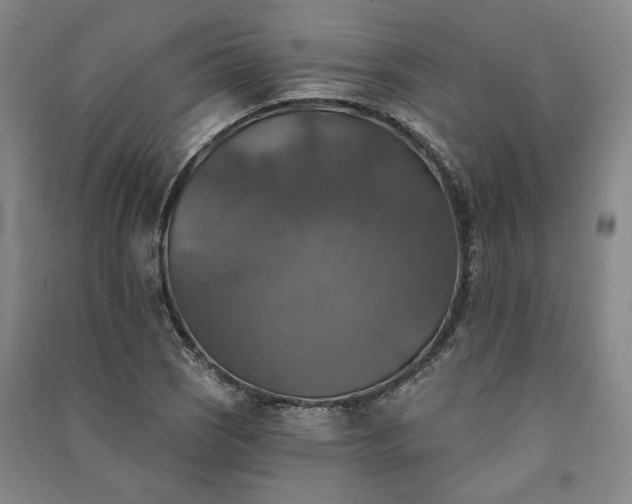 X0000091351121200708171426