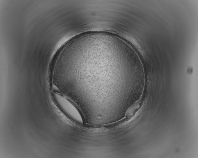 X0000091351122200708171426