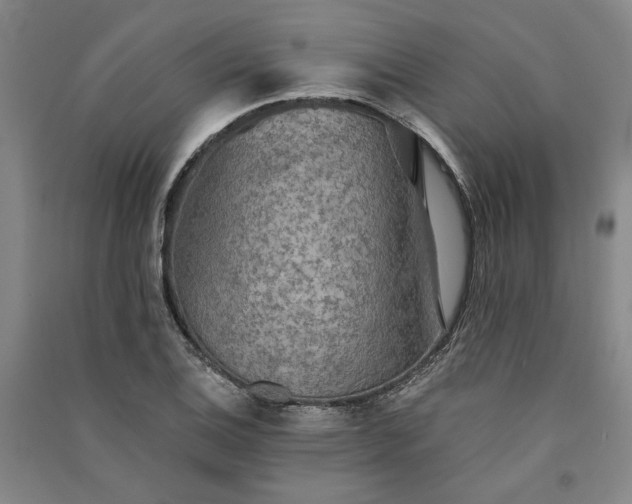 X0000091351124200708171426
