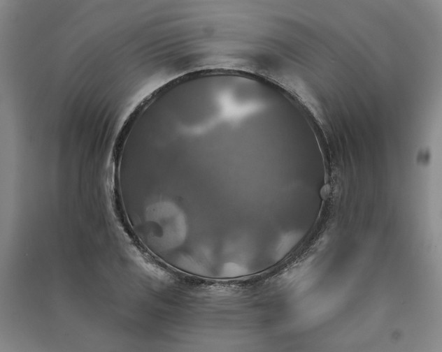 X0000091351125200708171426