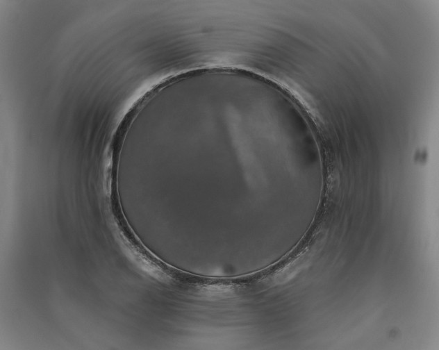 X0000091351126200708171426