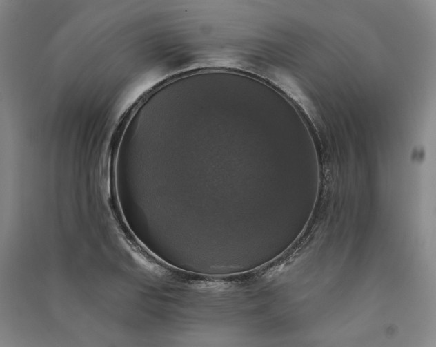 X0000091351127200708171426