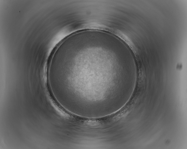 X0000091351128200708171426