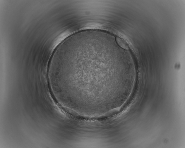 X0000091351129200708171426