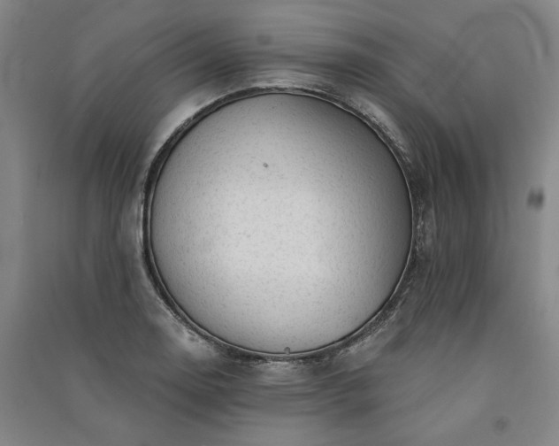 X0000091351130200708171426