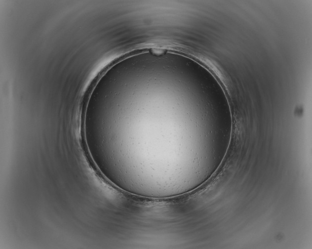 X0000091351131200708171426