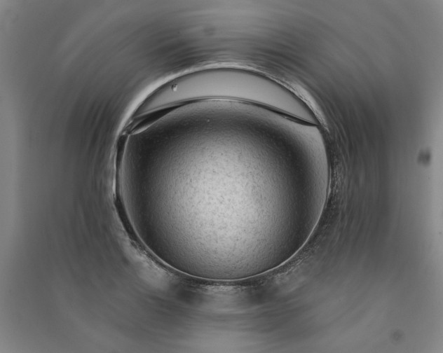 X0000091351132200708171426