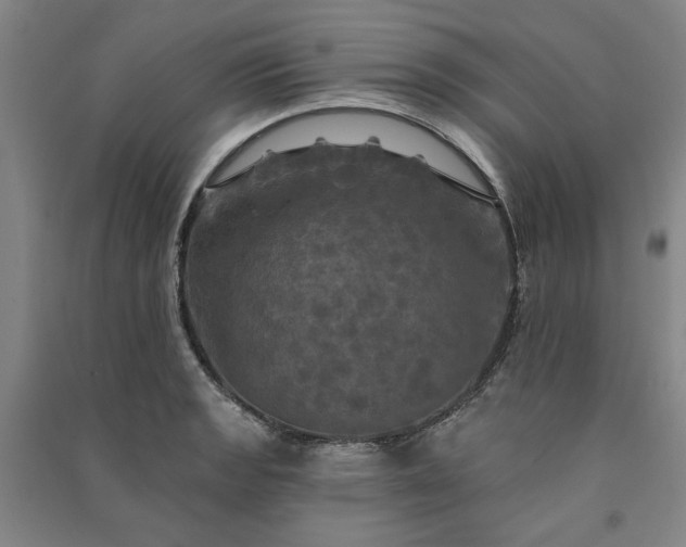 X0000091351133200708171426