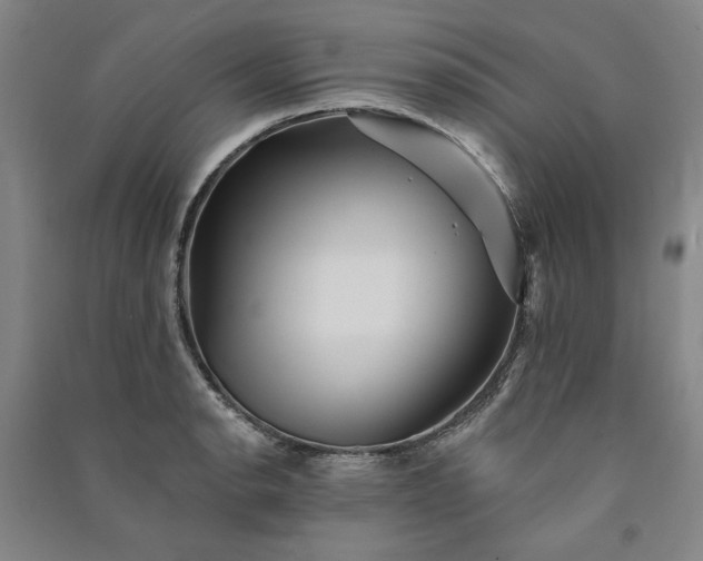X0000091351134200708171426