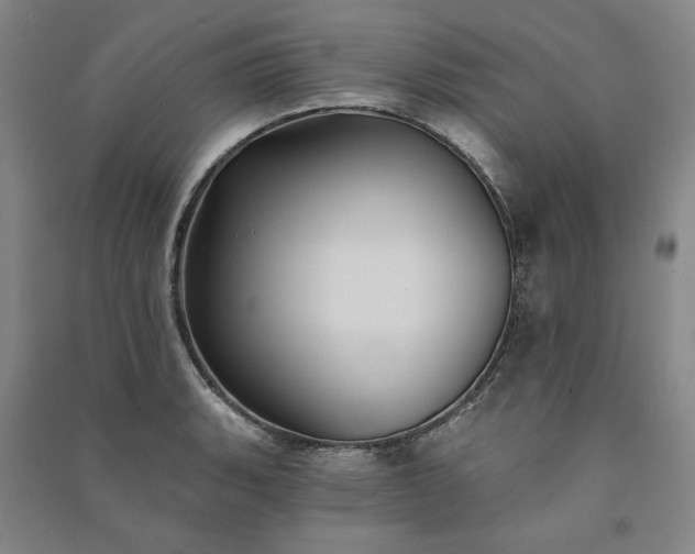 X0000091351135200708171426