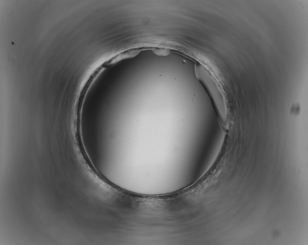 X0000091351136200708171426