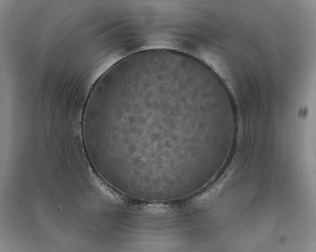 X0000091351137200708171426