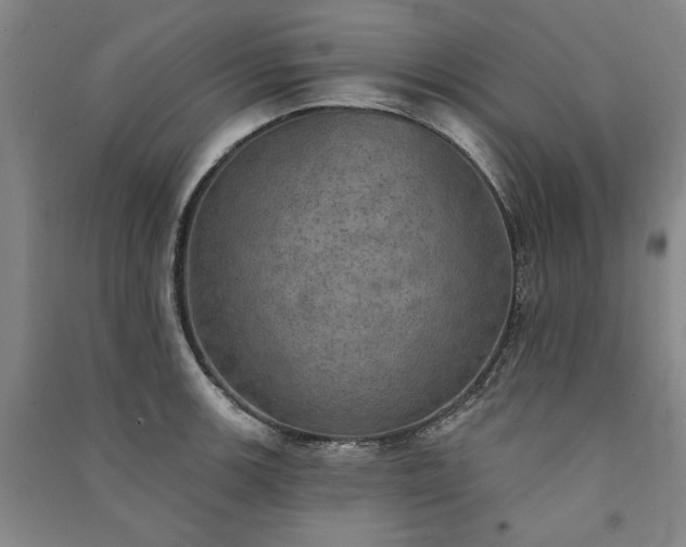 X0000091351139200708171426