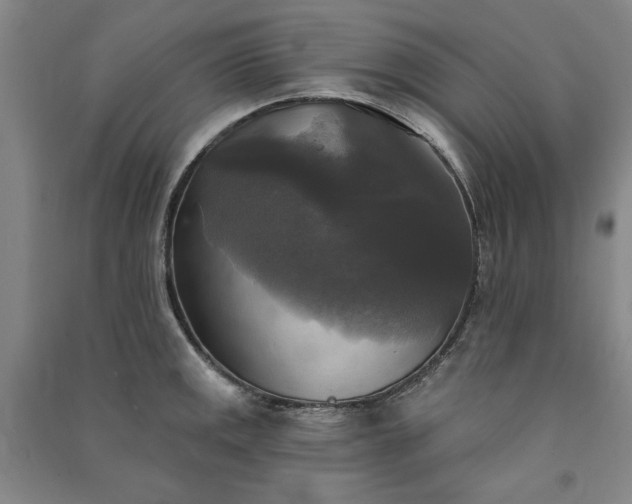 X0000091351141200708171426