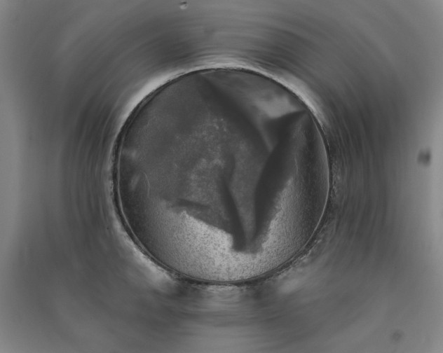 X0000091351142200708171426