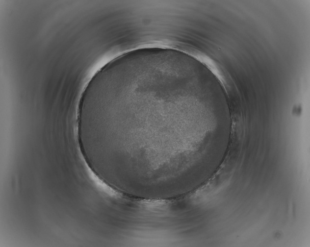 X0000091351143200708171426