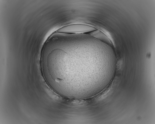 X0000091351146200708171426