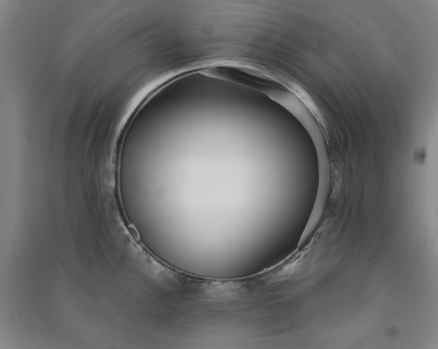 X0000091351148200708171426