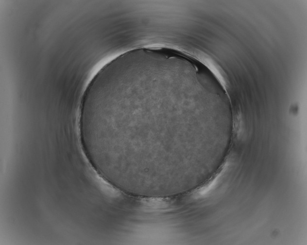 X0000091351149200708171426