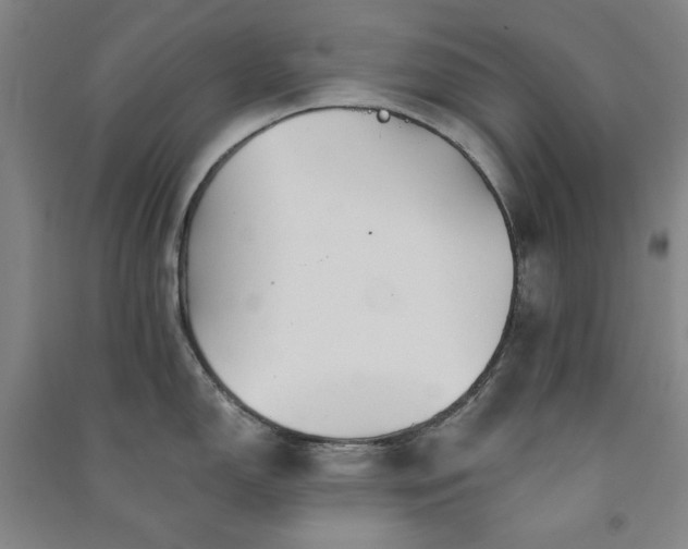 X0000091351150200708171426