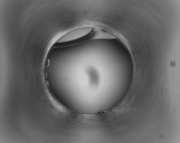 X0000091351152200708171426